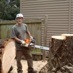 Stump Cutting Seattle WA