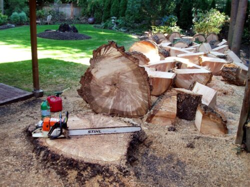 Stump Grinding Seattle
