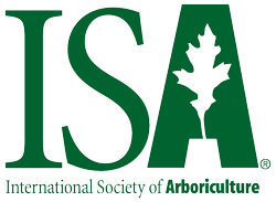 ISA Logo